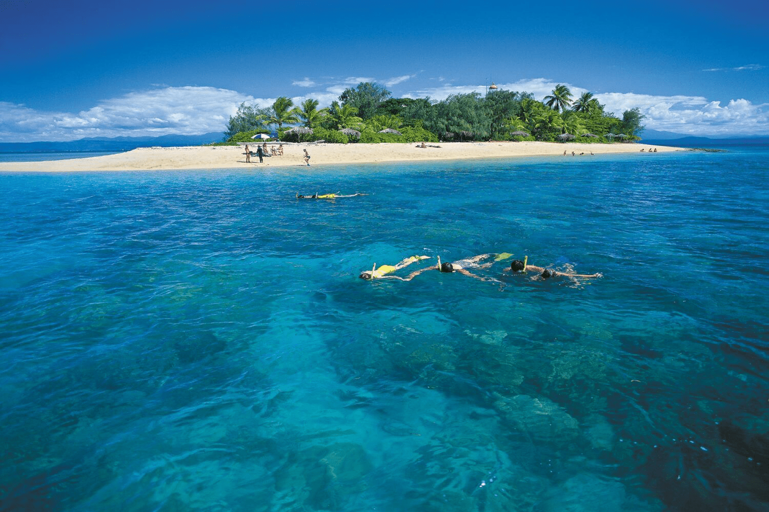 Snorkelers explore vibrant coral reefs in clear blue waters, with a sandy beach and palm trees in the background, showcasing a tropical paradise.